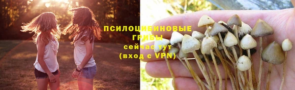 apvp Богородицк
