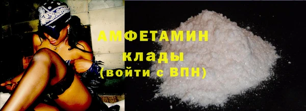 сатива Богданович