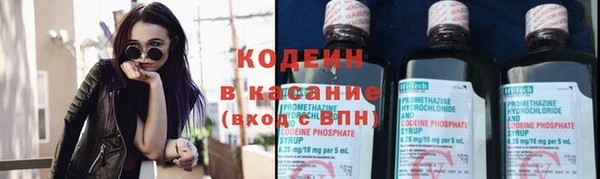 сатива Богданович