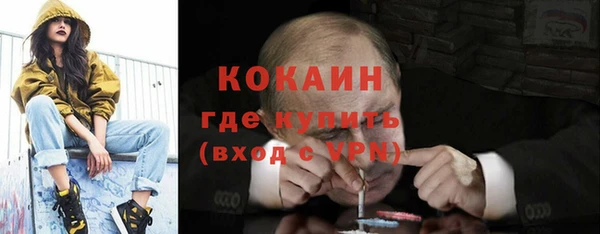 apvp Богородицк