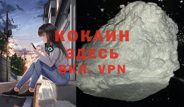сатива Богданович