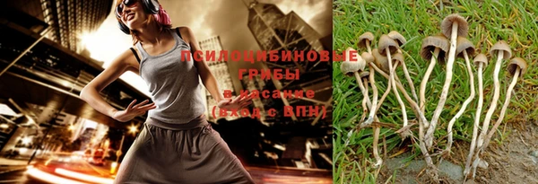 apvp Богородицк