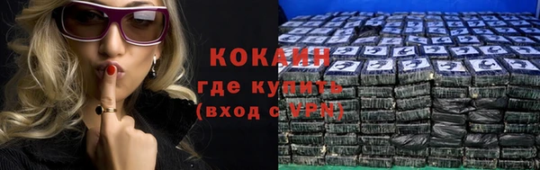 apvp Богородицк