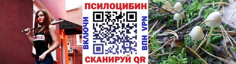 Псилоцибиновые грибы мухоморы  Купить закладки  Гусиноозёрск 