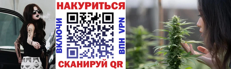 Бошки Шишки гибрид Купить где Гусиноозёрск